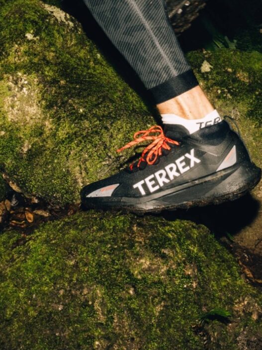 adidas TERREX Agravic GORE-TEX: Speed in Any Weather, Sneakerize.gr