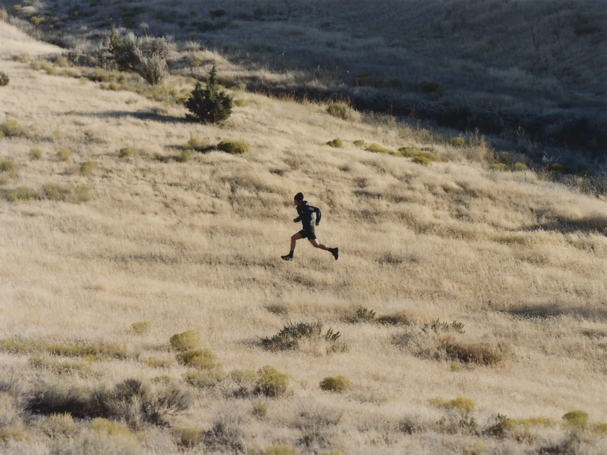 adidas x Humanrace Adizero EVO SL ‘Earth’ Elevates Running with Purpose, Sneakerize.gr