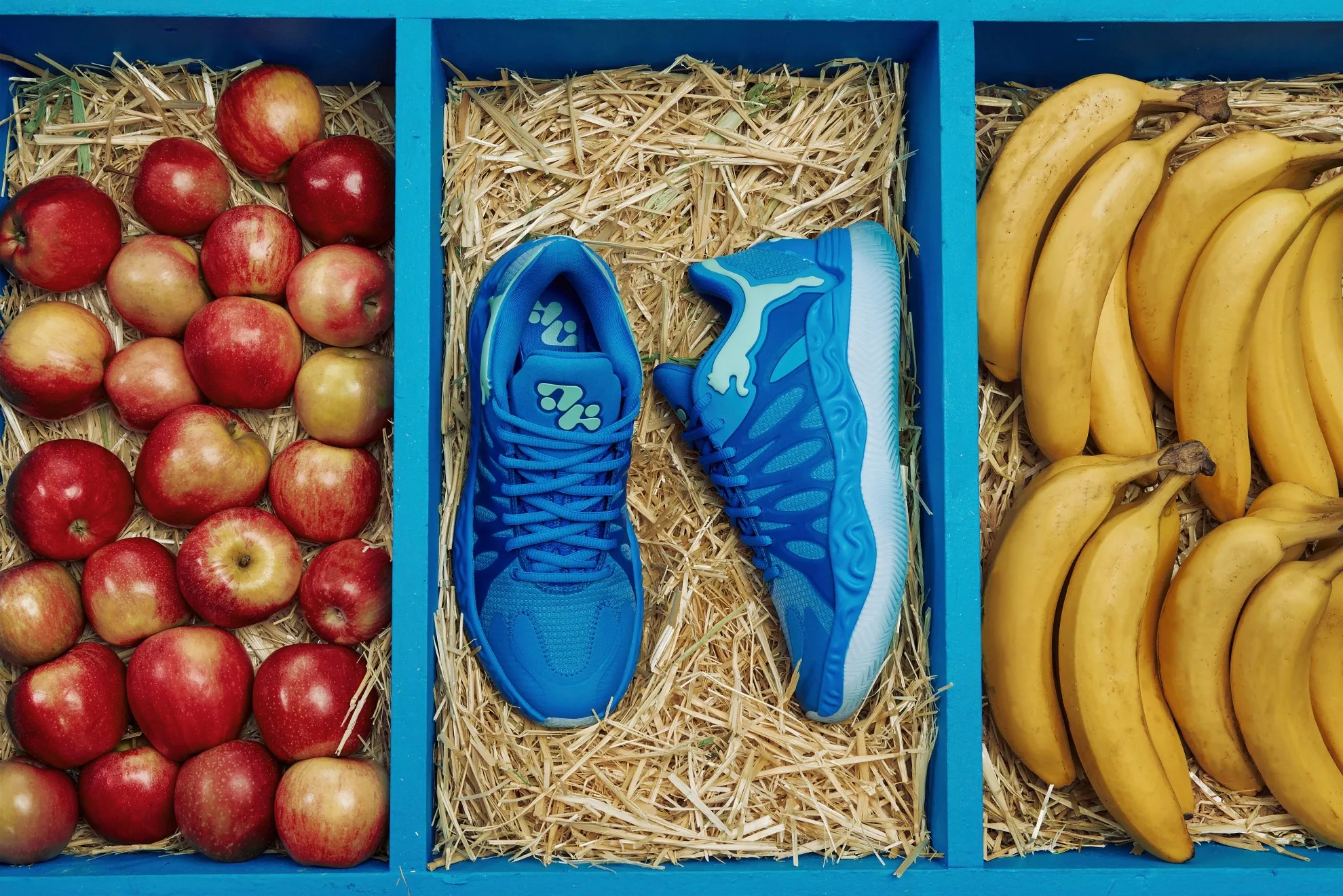 PUMA Hali 1 Opal: Tyrese Haliburton’s First Signature Shoe by Salehe Bembury, 313450_01, Sneakerize.gr