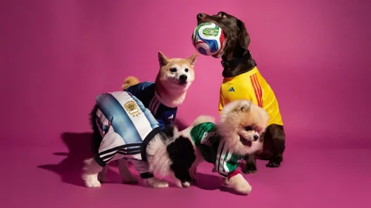 adidas FIFA World Cup 2026 Pet Collection Brings Matchday Style to Four-Legged Fans, Sneakerize.gr
