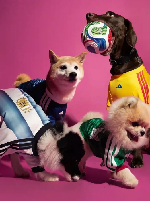 adidas FIFA World Cup 2026 Pet Collection Brings Matchday Style to Four-Legged Fans, Sneakerize.gr