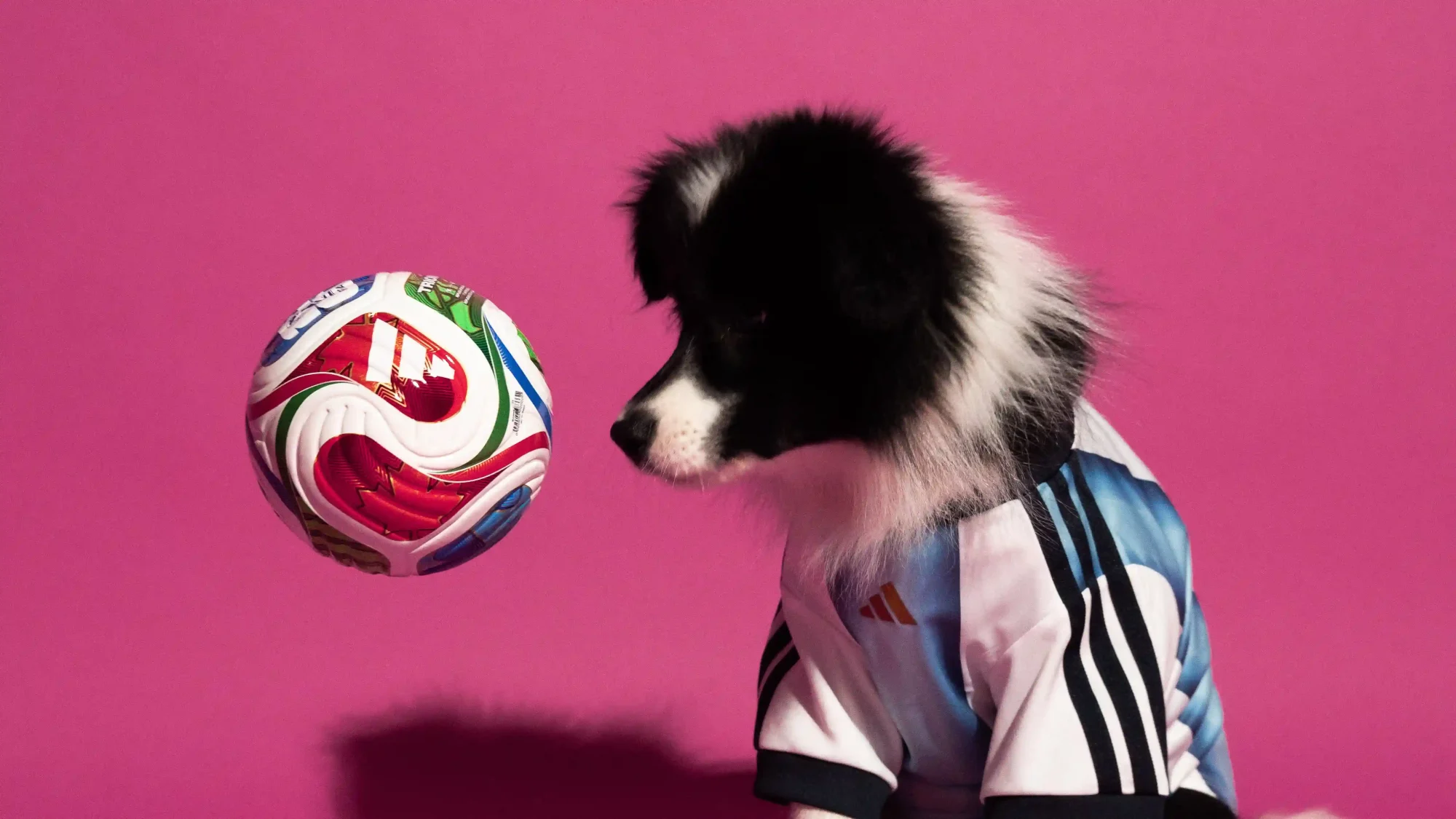 adidas FIFA World Cup 2026 Pet Collection Brings Matchday Style to Four-Legged Fans, Sneakerize.gr