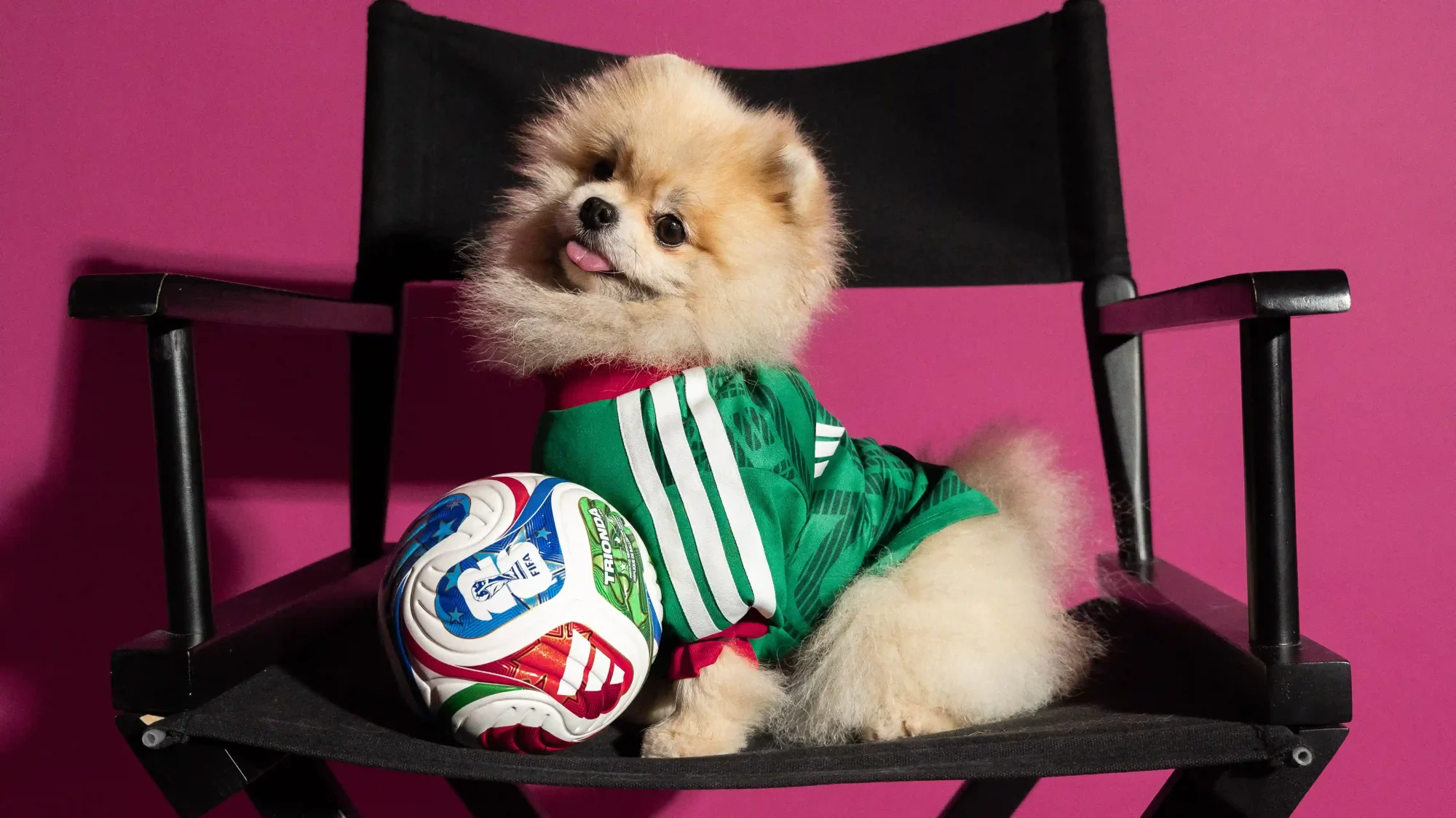 adidas FIFA World Cup 2026 Pet Collection Brings Matchday Style to Four-Legged Fans, Sneakerize.gr